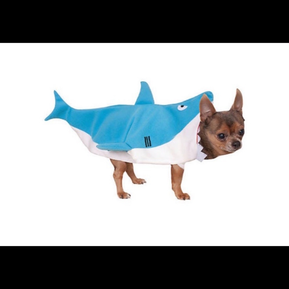 Pet costume